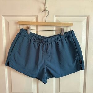 Patagonia Barely Baggies 2.5"